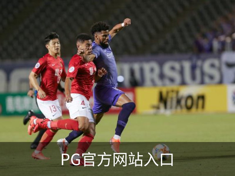 PG官方网站入口概况